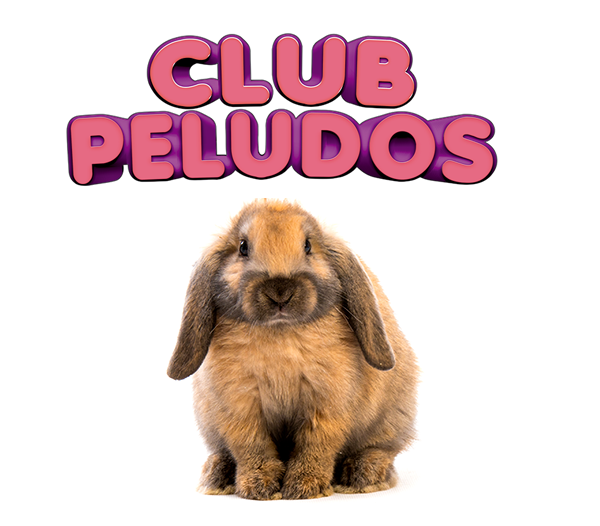 logo pie página